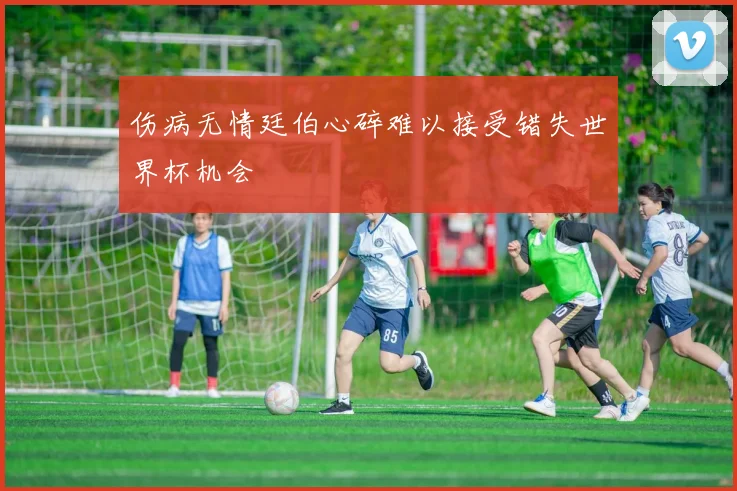 伤病无情廷伯心碎难以接受错失世界杯机会