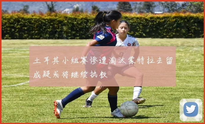 土耳其小组赛惨遭淘汰蒙特拉去留成疑或将继续执教